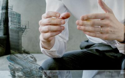 Gestion d’Entreprise et Devoirs du Conseil d’Administration en Suisse