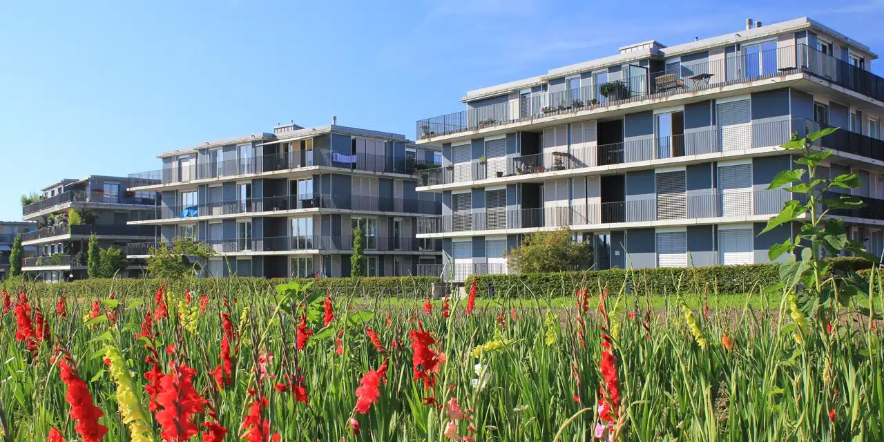 devenir promoteur immobilier en Suisse devenir promoteur immobilier en Suisse